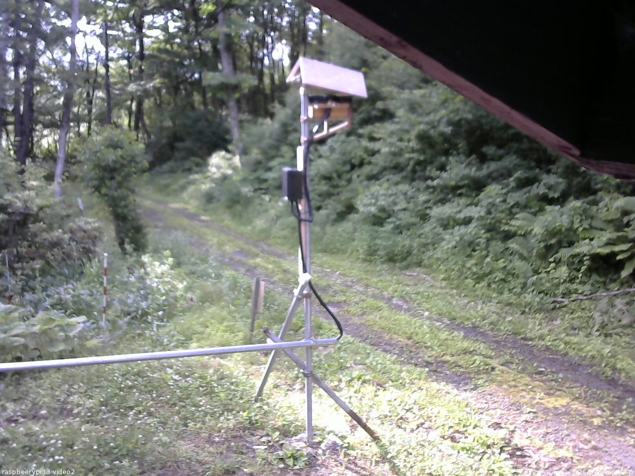長野県菅平高原 ゆたか山荘 南側 2026/07/05 06:45