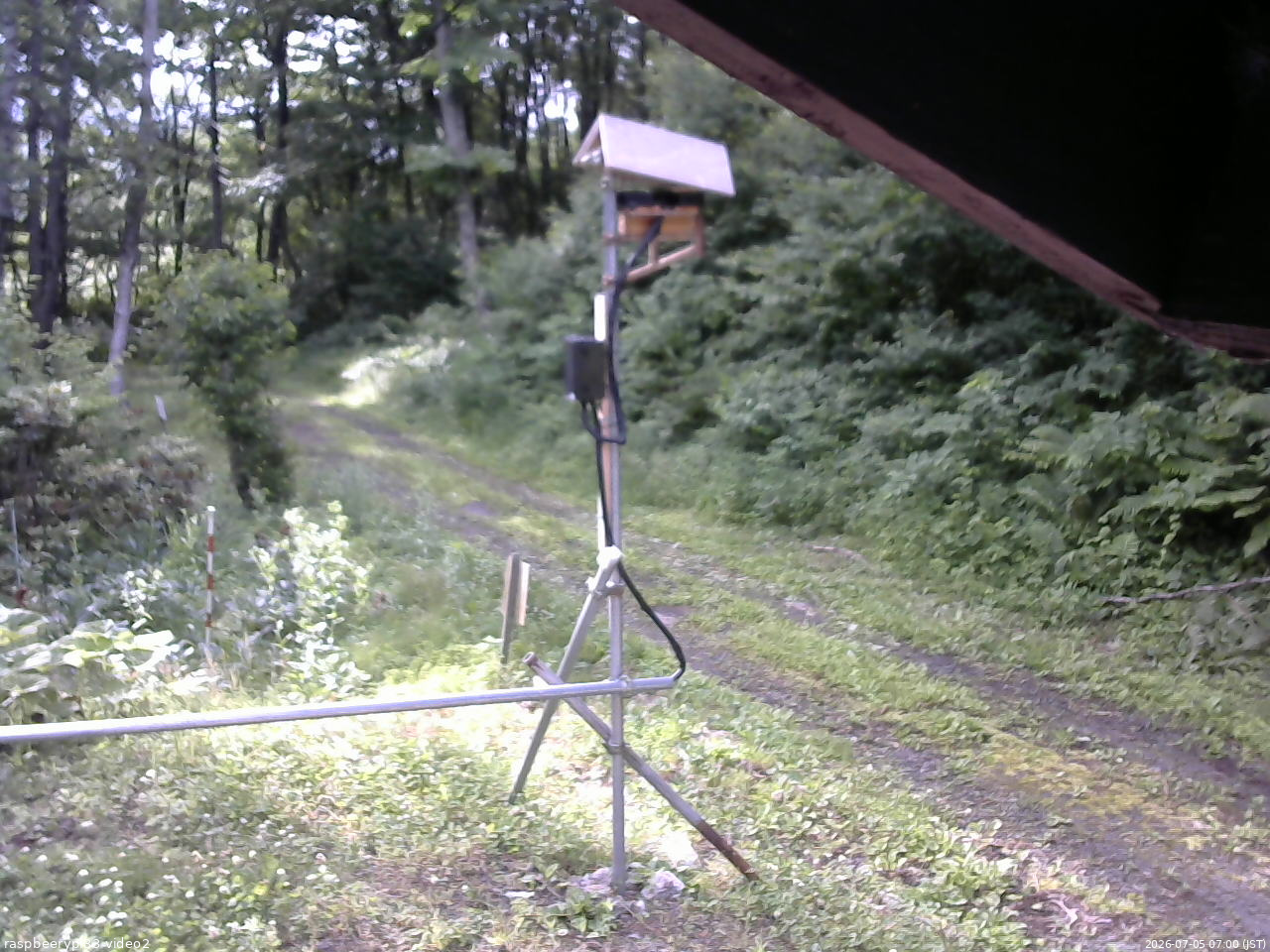 長野県菅平高原 ゆたか山荘 南側 2026/07/05 07:00