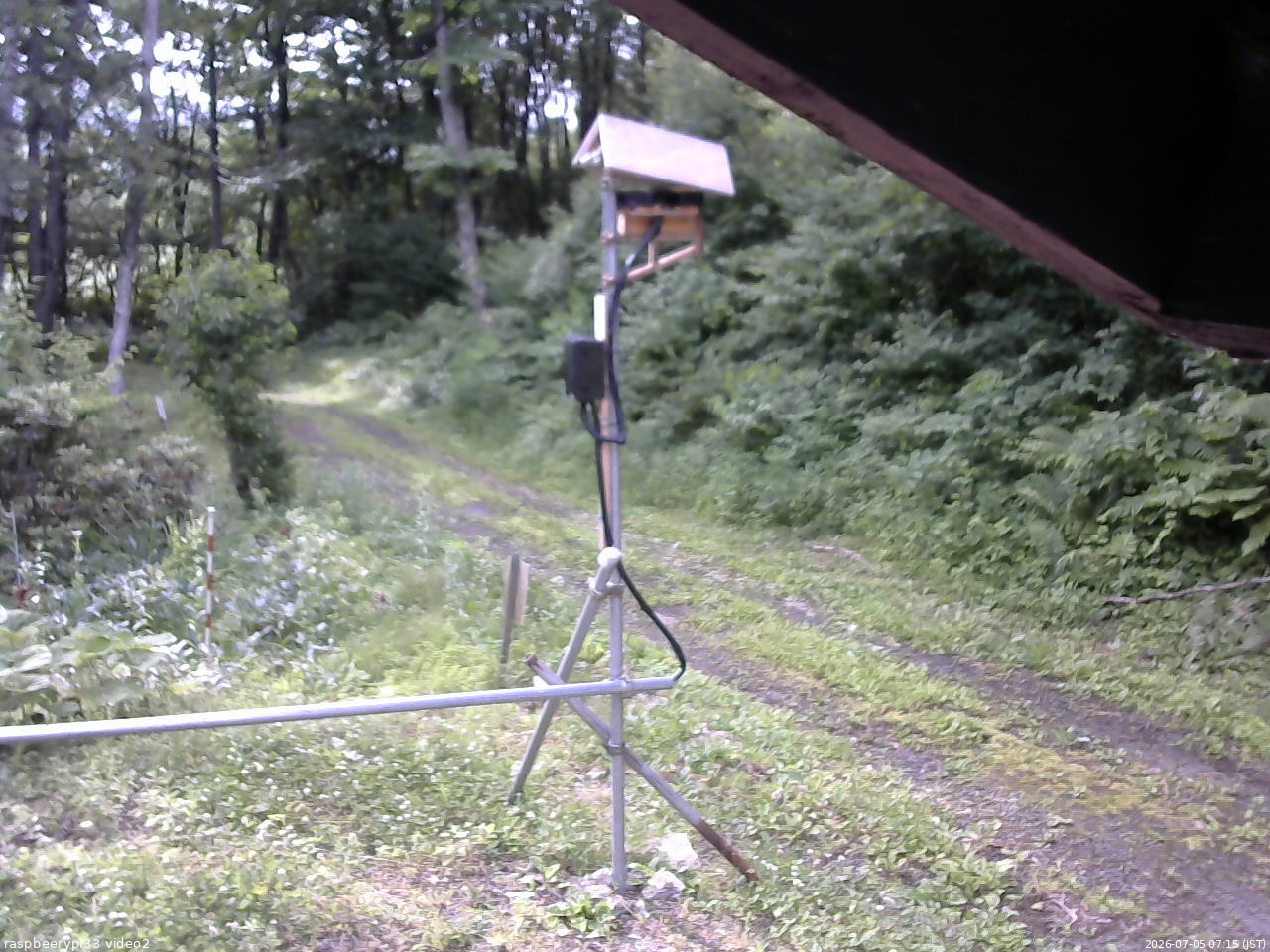長野県菅平高原 ゆたか山荘 南側 2026/07/05 07:15