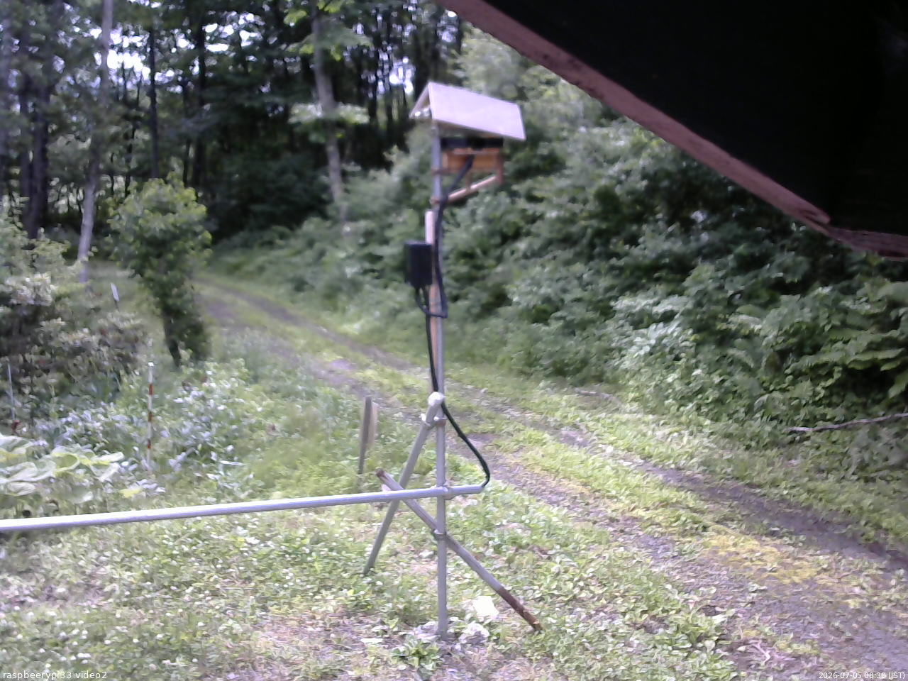 長野県菅平高原 ゆたか山荘 南側 2026/07/05 08:30