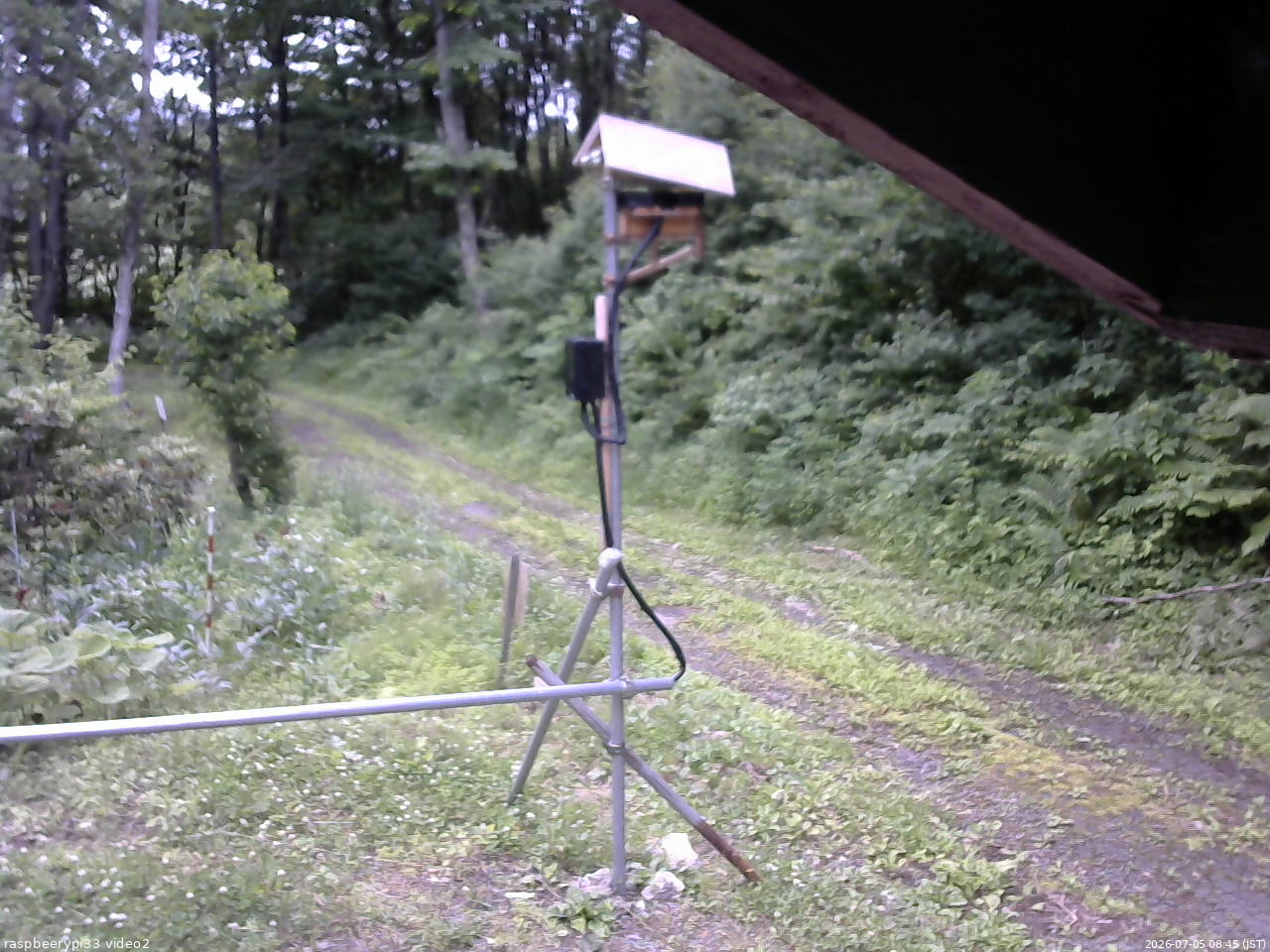 長野県菅平高原 ゆたか山荘 南側 2026/07/05 08:45