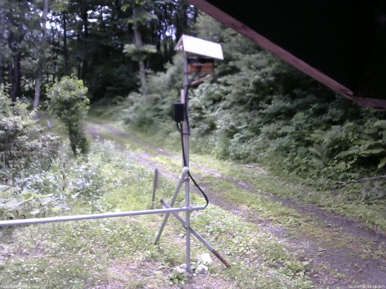 長野県菅平高原 ゆたか山荘 南側 2026/07/05 09:45