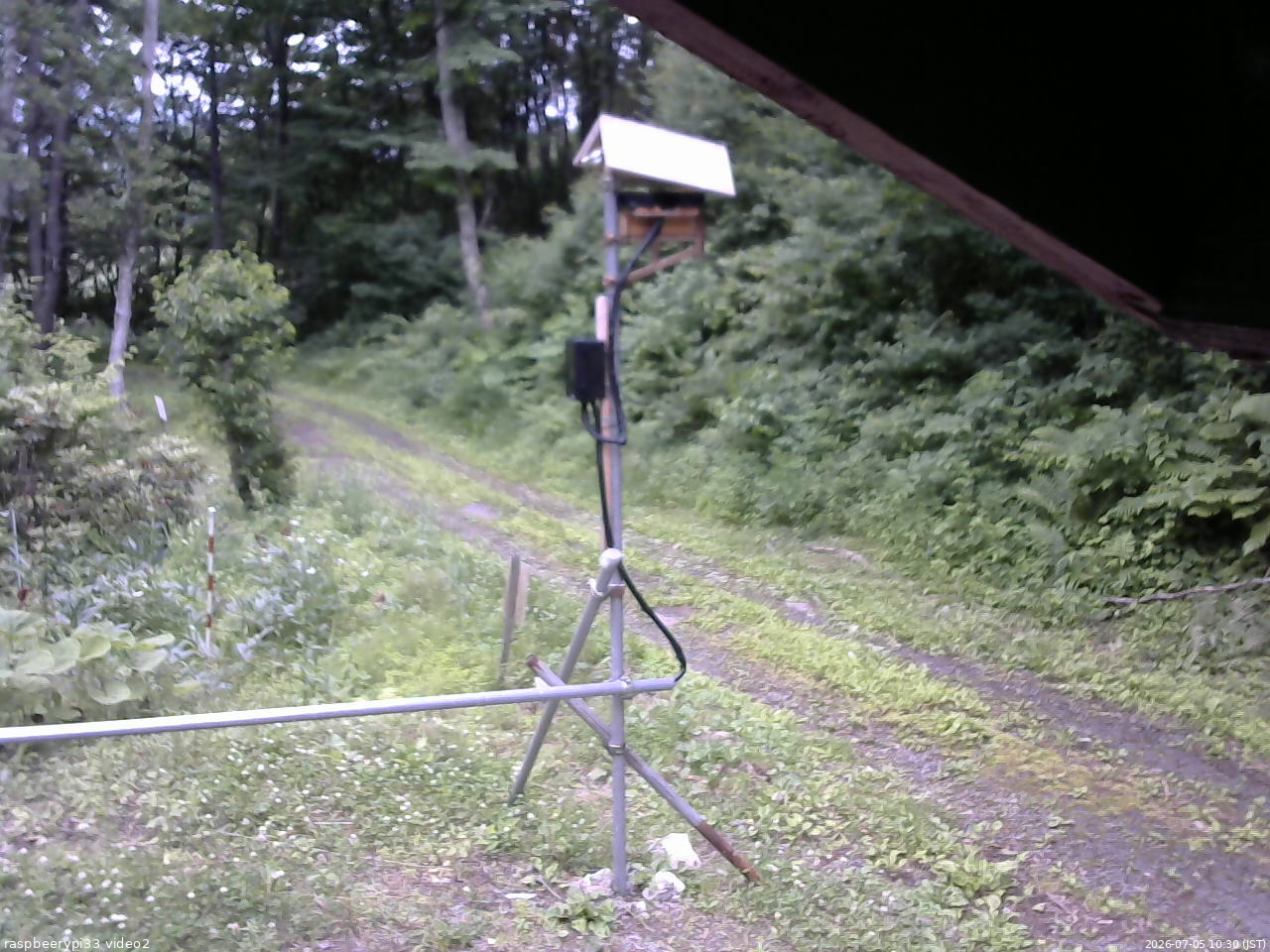 長野県菅平高原 ゆたか山荘 南側 2026/07/05 10:30