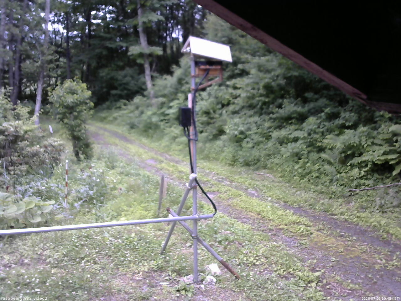 長野県菅平高原 ゆたか山荘 南側 2026/07/05 10:45