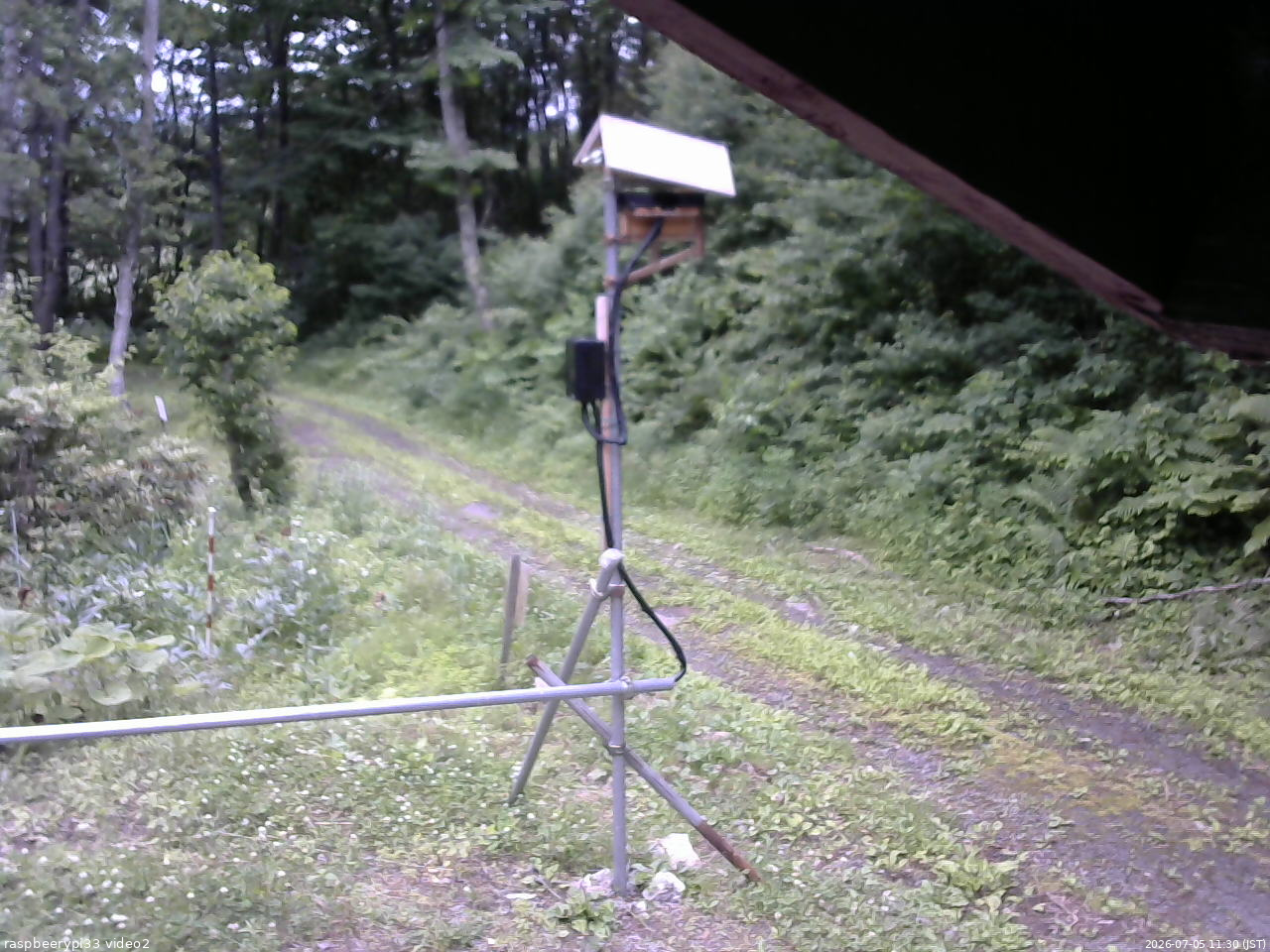 長野県菅平高原 ゆたか山荘 南側 2026/07/05 11:30