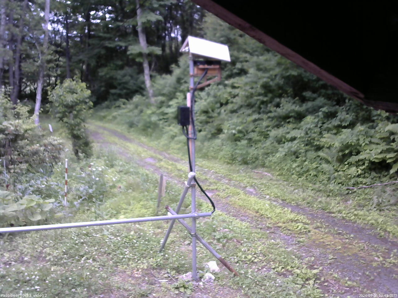 長野県菅平高原 ゆたか山荘 南側 2026/07/05 12:45