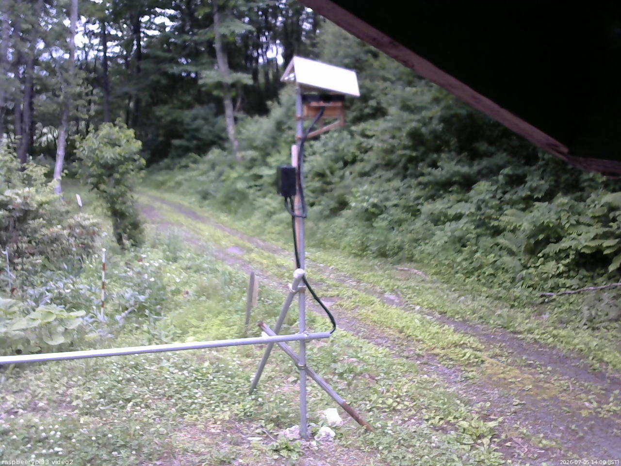 長野県菅平高原 ゆたか山荘 南側 2026/07/05 14:00