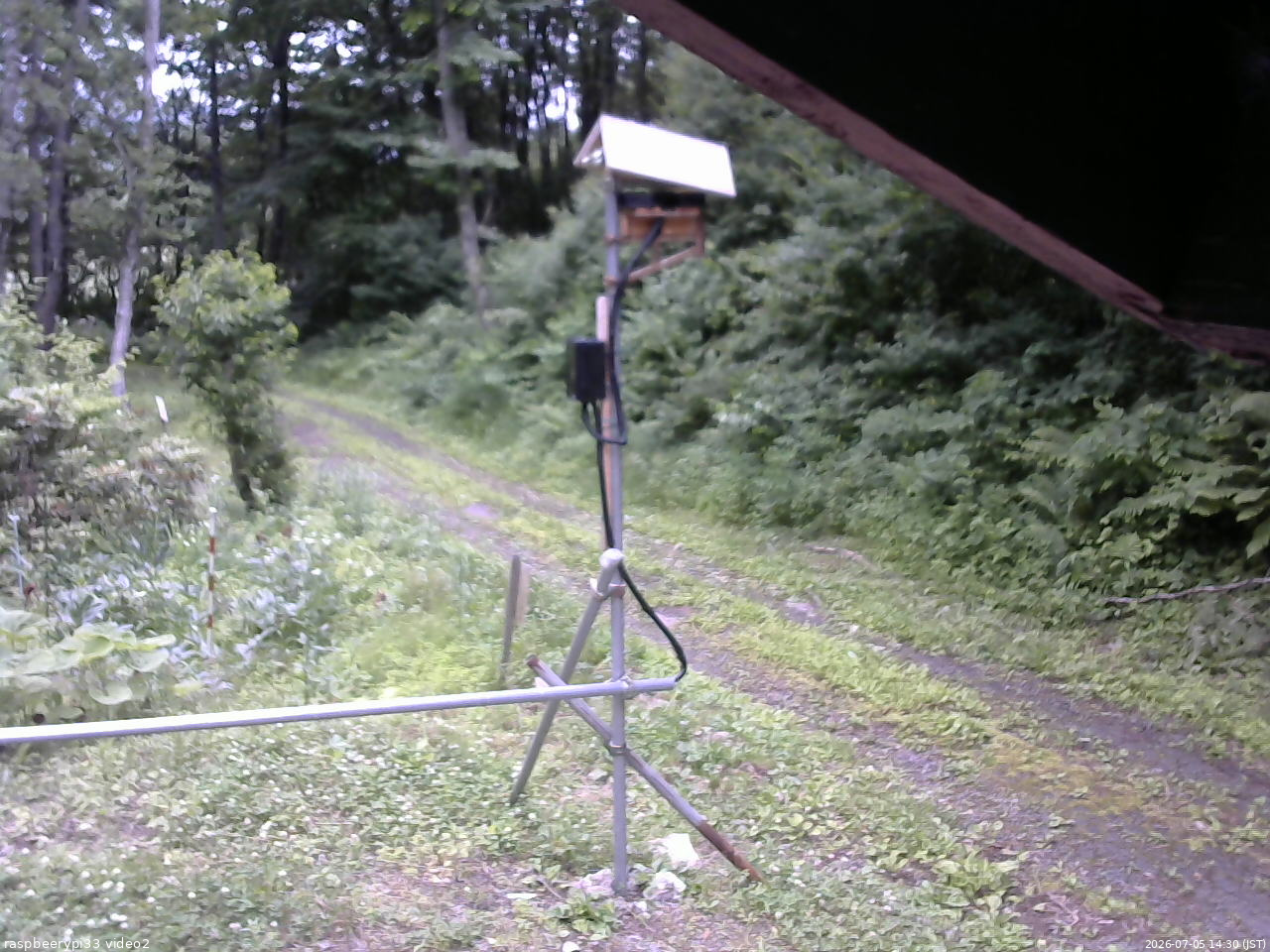 長野県菅平高原 ゆたか山荘 南側 2026/07/05 14:30