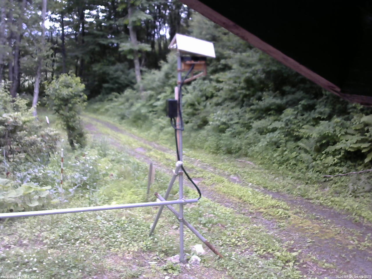 長野県菅平高原 ゆたか山荘 南側 2026/07/05 14:45