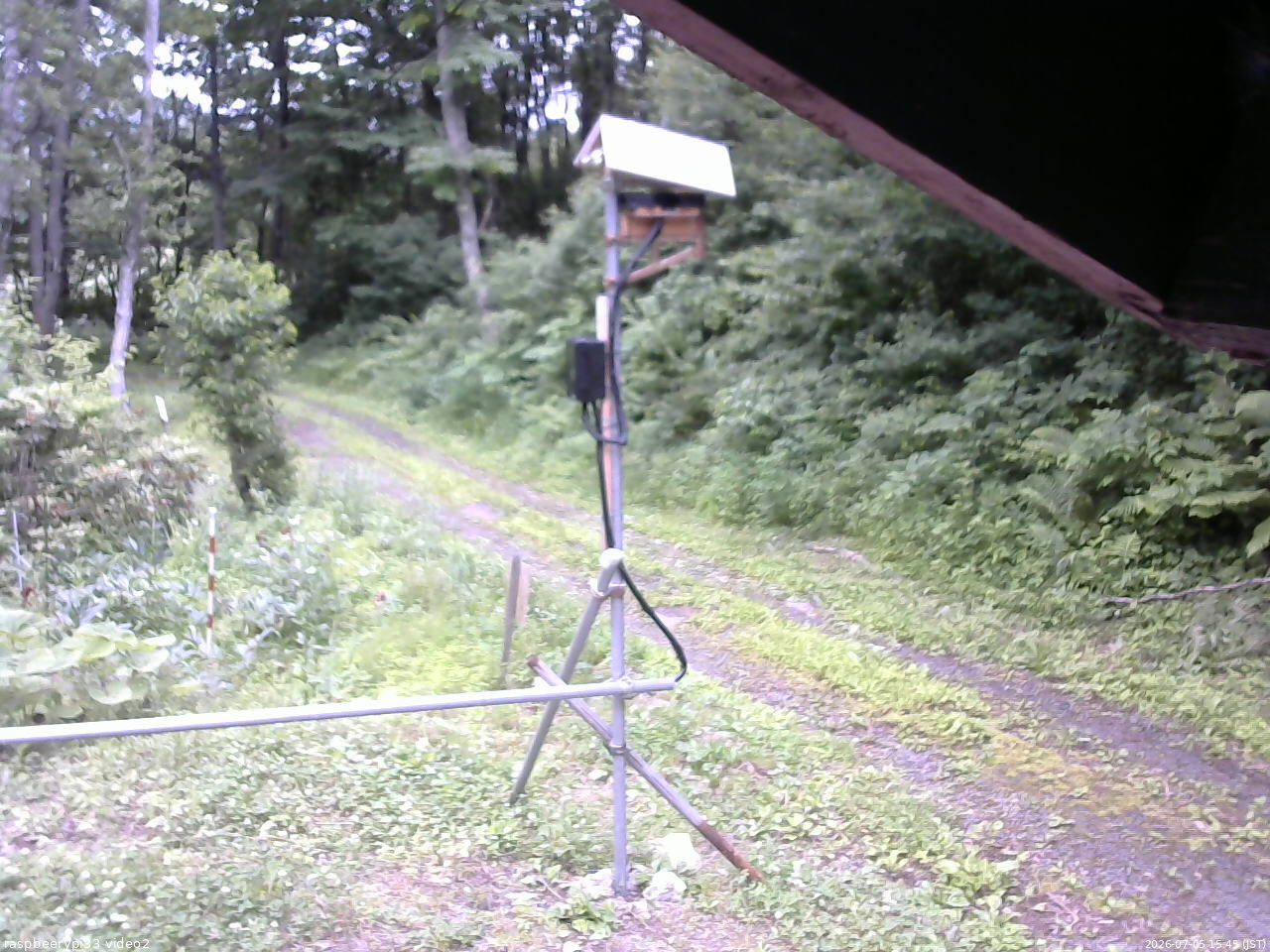 長野県菅平高原 ゆたか山荘 南側 2026/07/05 15:45