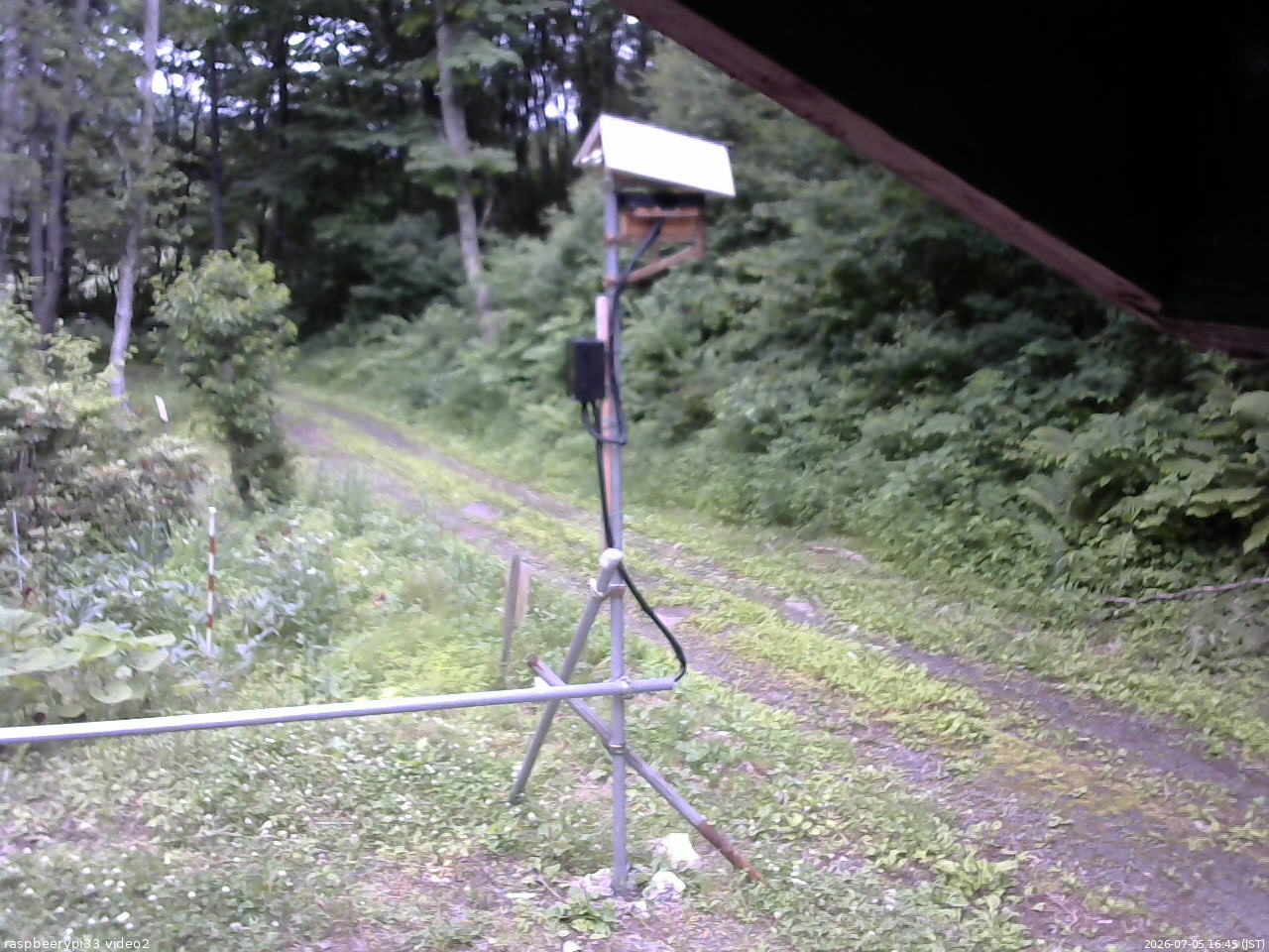 長野県菅平高原 ゆたか山荘 南側 2026/07/05 16:45