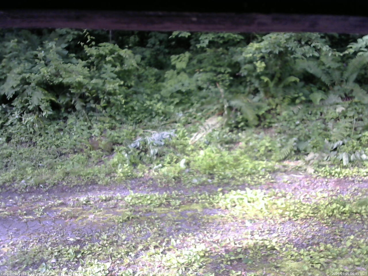 長野県菅平高原 ゆたか山荘 東側(坂下) 2026/07/05 06:45
