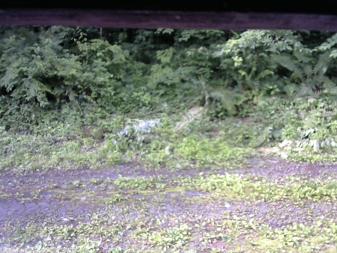 長野県菅平高原 ゆたか山荘 東側(坂下) 2026/07/05 07:15