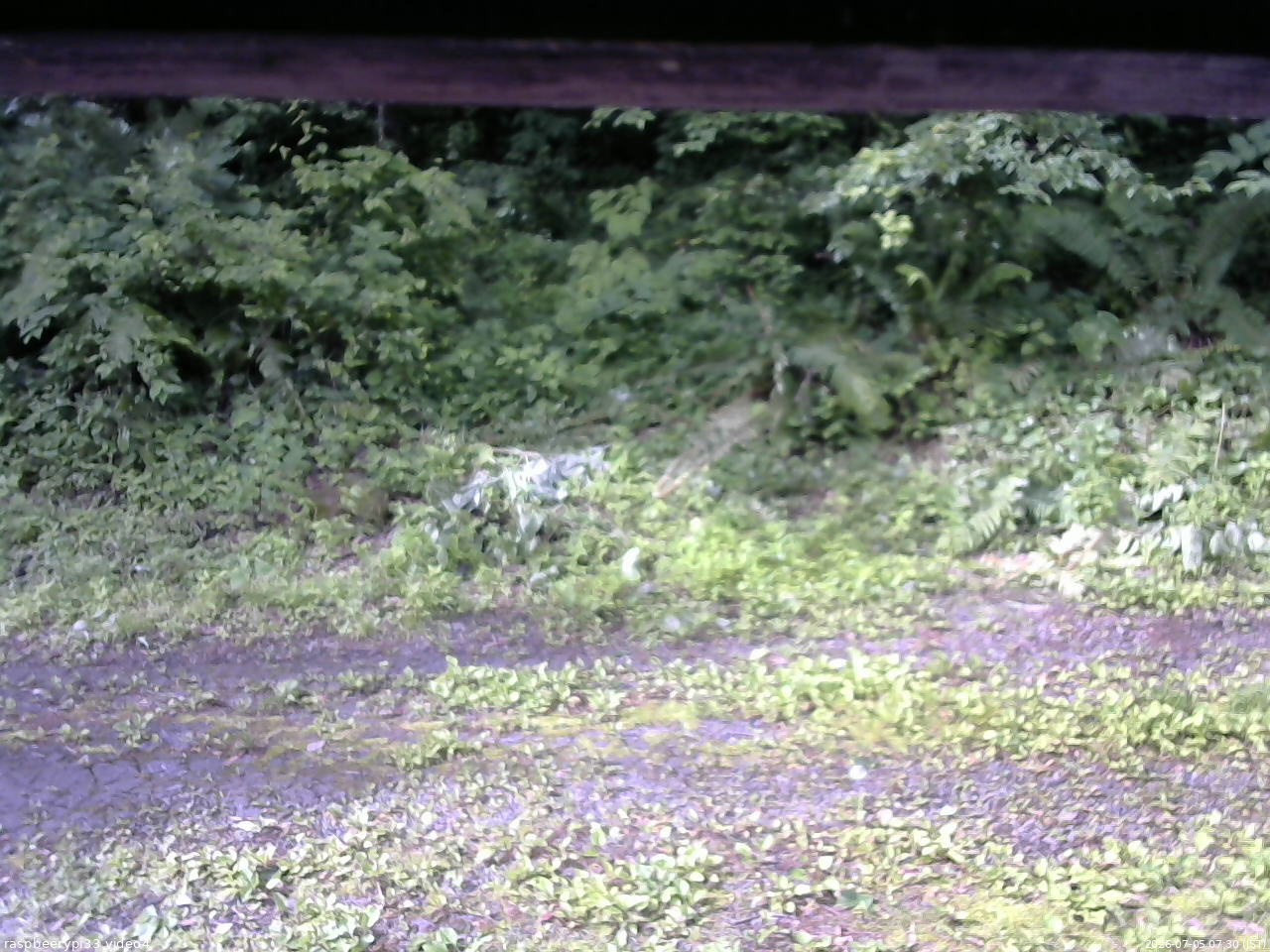 長野県菅平高原 ゆたか山荘 東側(坂下) 2026/07/05 07:30