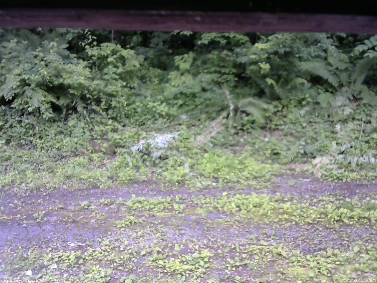 長野県菅平高原 ゆたか山荘 東側(坂下) 2026/07/05 12:00