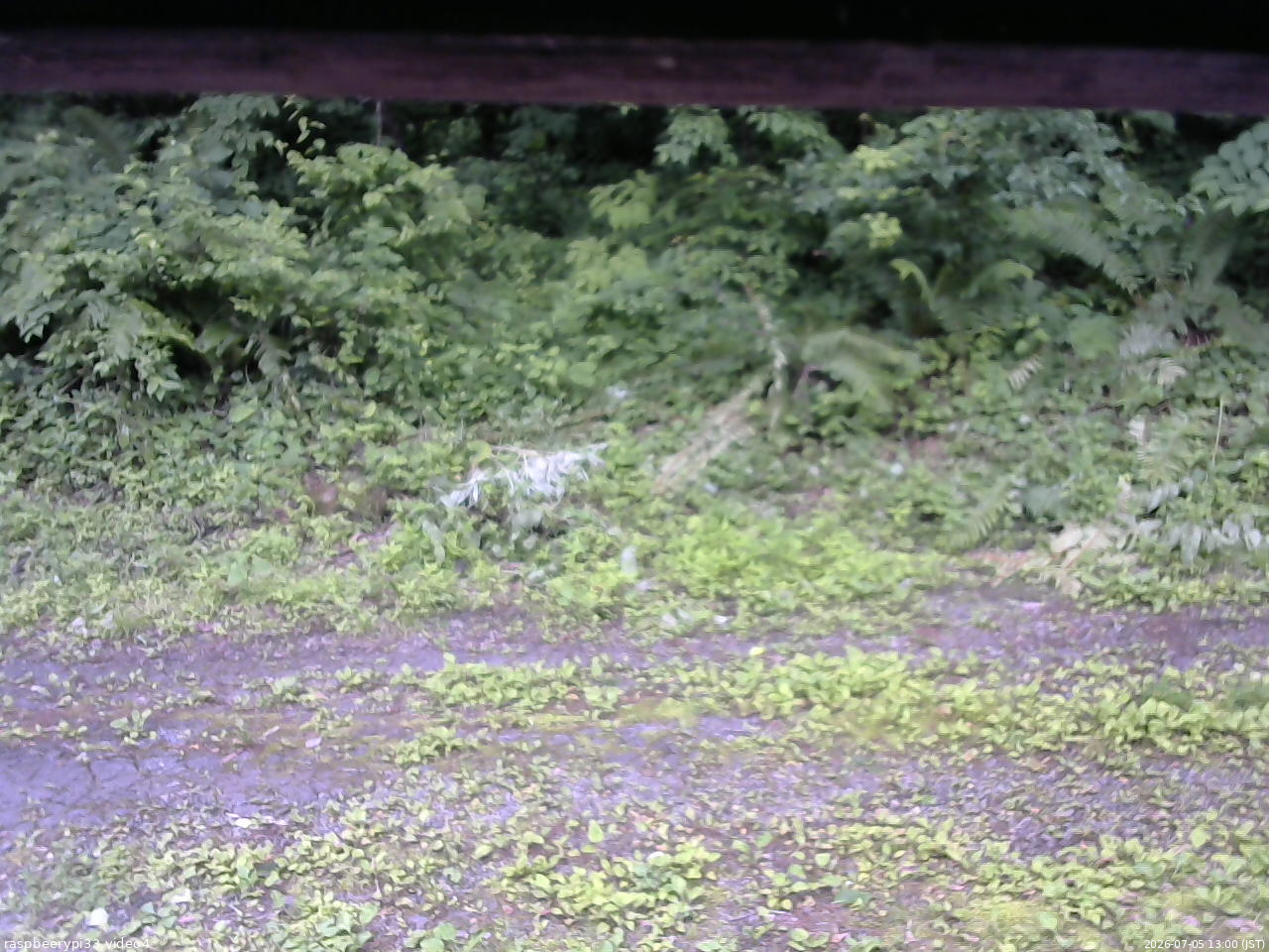 長野県菅平高原 ゆたか山荘 東側(坂下) 2026/07/05 13:00