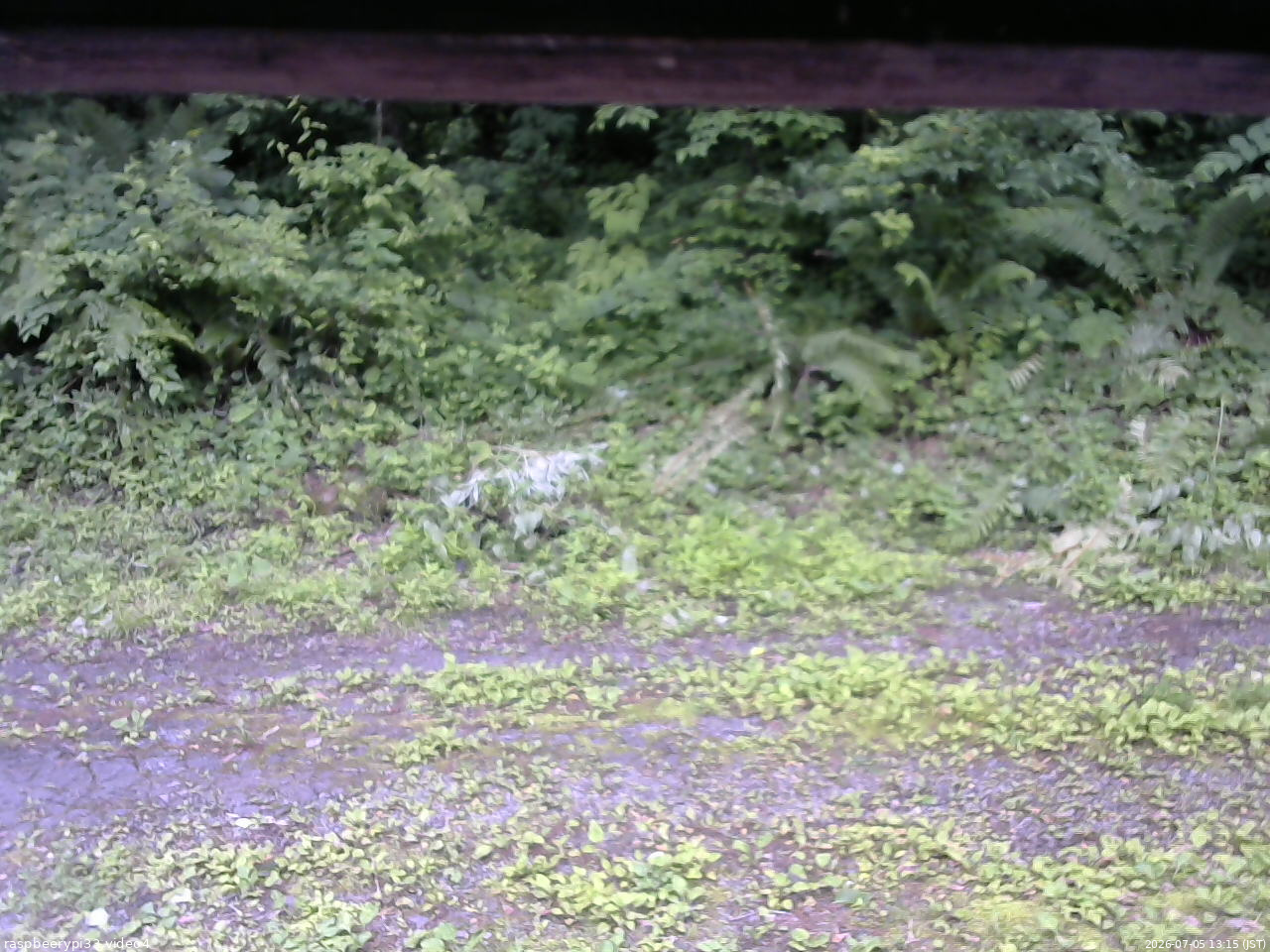 長野県菅平高原 ゆたか山荘 東側(坂下) 2026/07/05 13:15