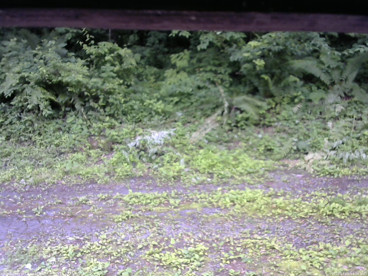 長野県菅平高原 ゆたか山荘 東側(坂下) 2026/07/05 14:00