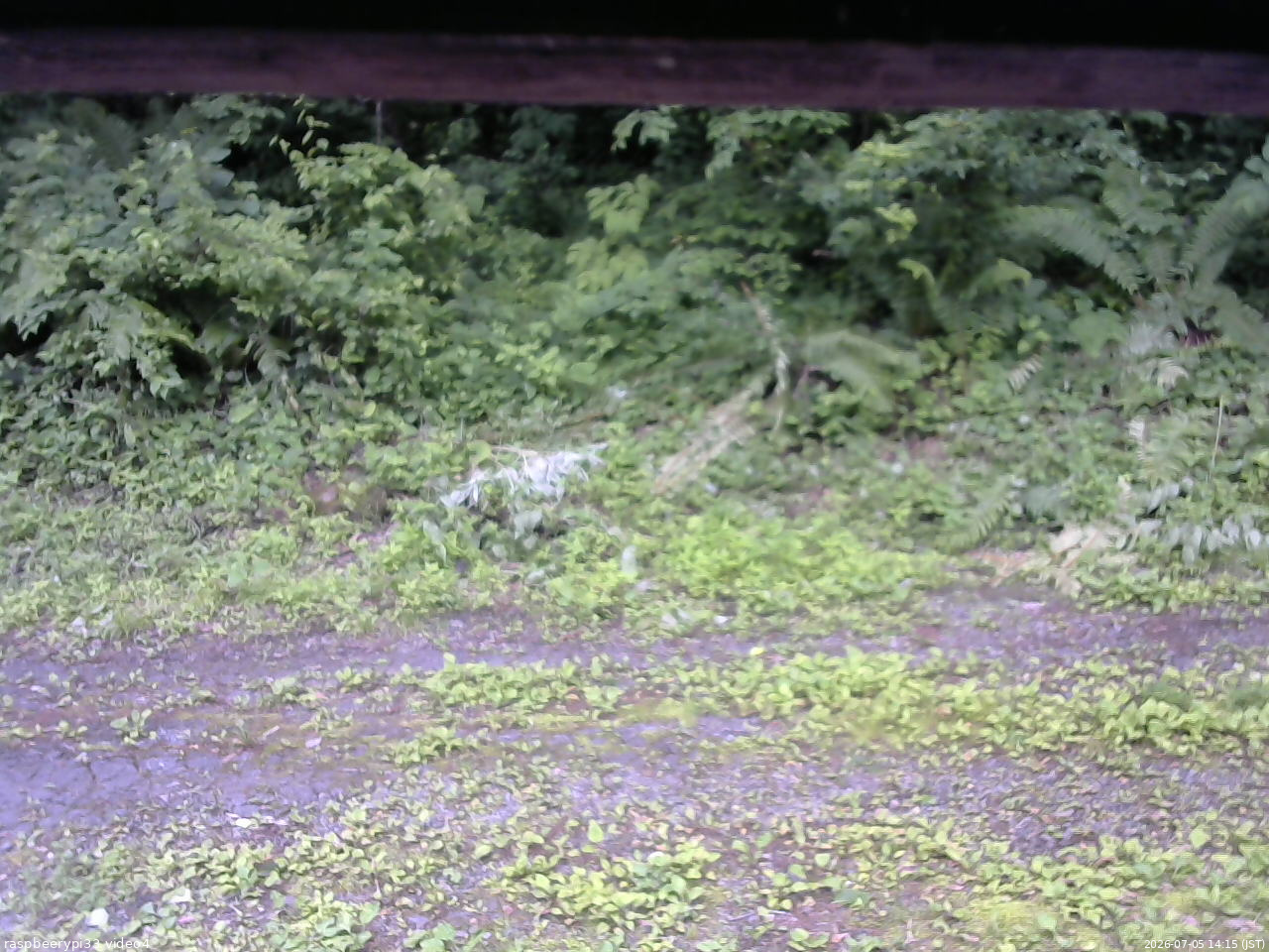 長野県菅平高原 ゆたか山荘 東側(坂下) 2026/07/05 14:15