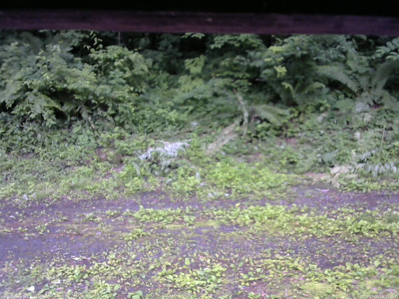 長野県菅平高原 ゆたか山荘 東側(坂下) 2026/07/05 18:15