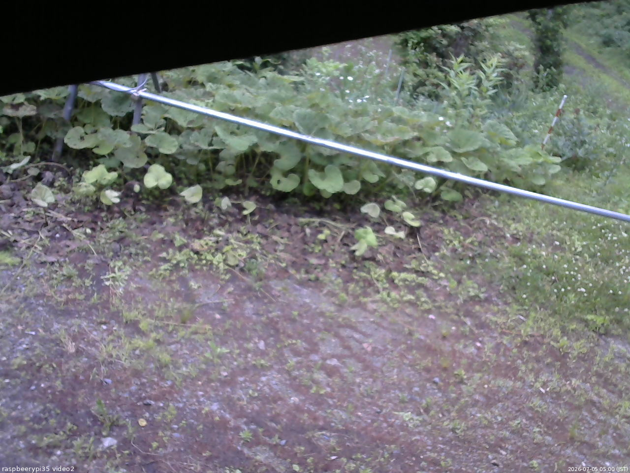 長野県菅平高原 ゆたか山荘 駐車場 2026/07/05 05:00