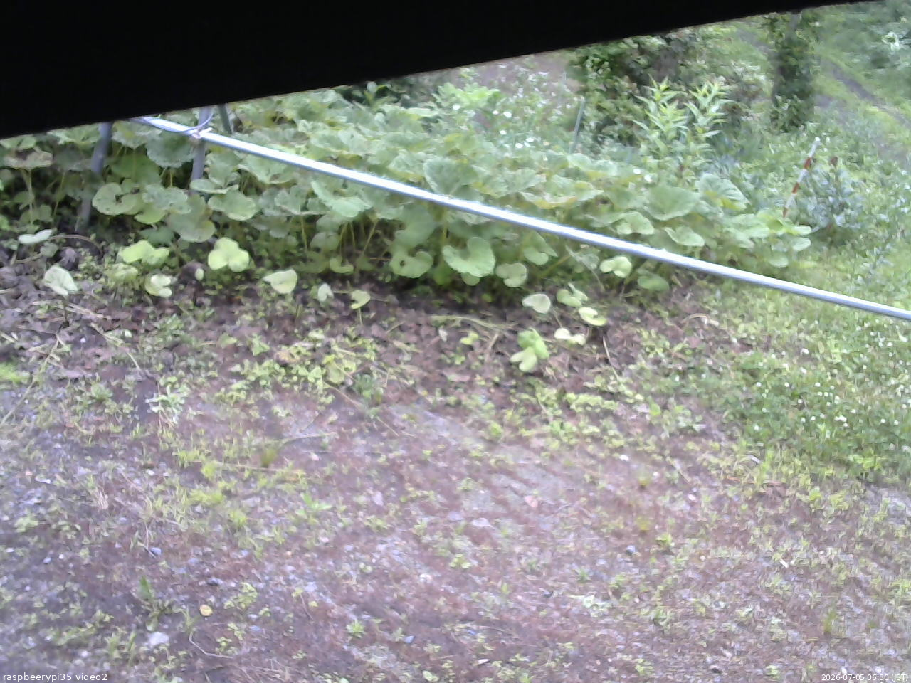 長野県菅平高原 ゆたか山荘 駐車場 2026/07/05 06:30