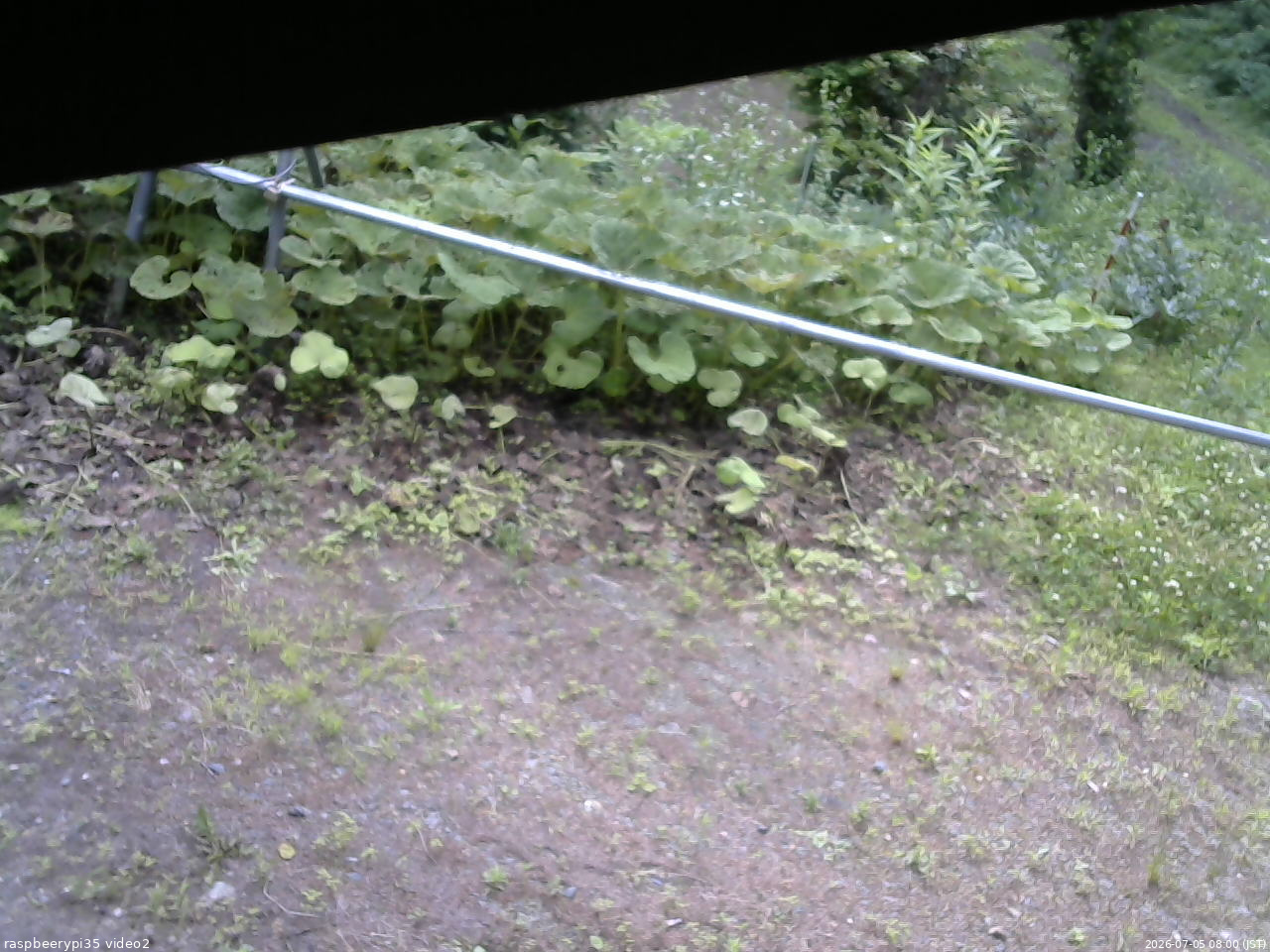 長野県菅平高原 ゆたか山荘 駐車場 2026/07/05 08:00