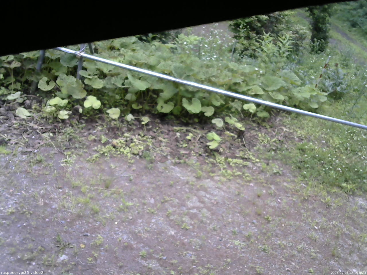 長野県菅平高原 ゆたか山荘 駐車場 2026/07/05 12:15