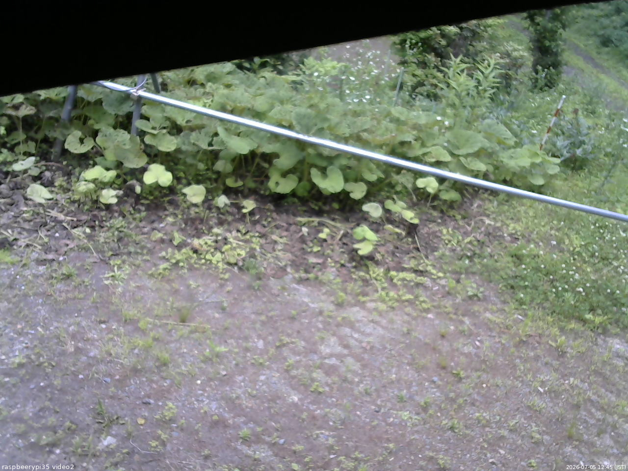 長野県菅平高原 ゆたか山荘 駐車場 2026/07/05 12:45