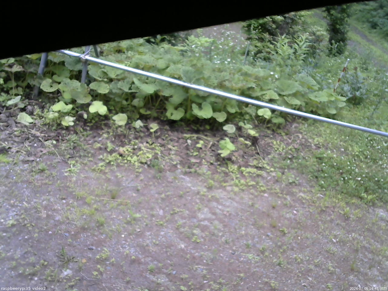 長野県菅平高原 ゆたか山荘 駐車場 2026/07/05 16:45