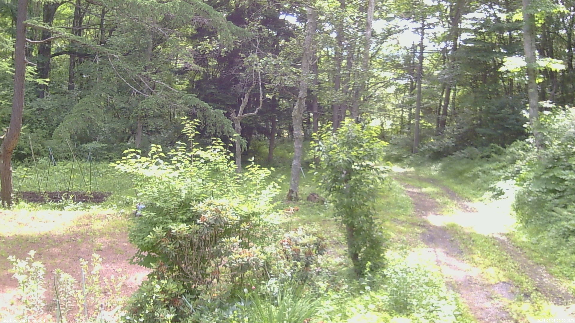 長野県菅平高原 ゆたか山荘 坂上 2026/07/05 09:00