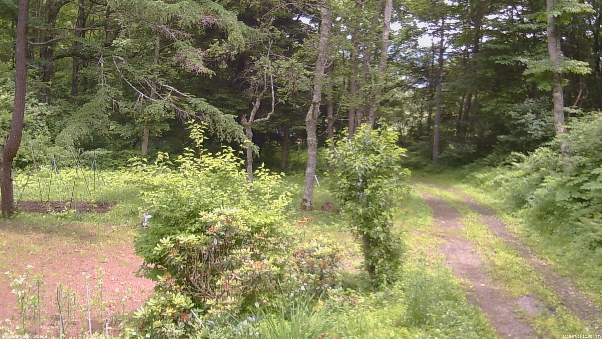 長野県菅平高原 ゆたか山荘 坂上 2026/07/05 12:00