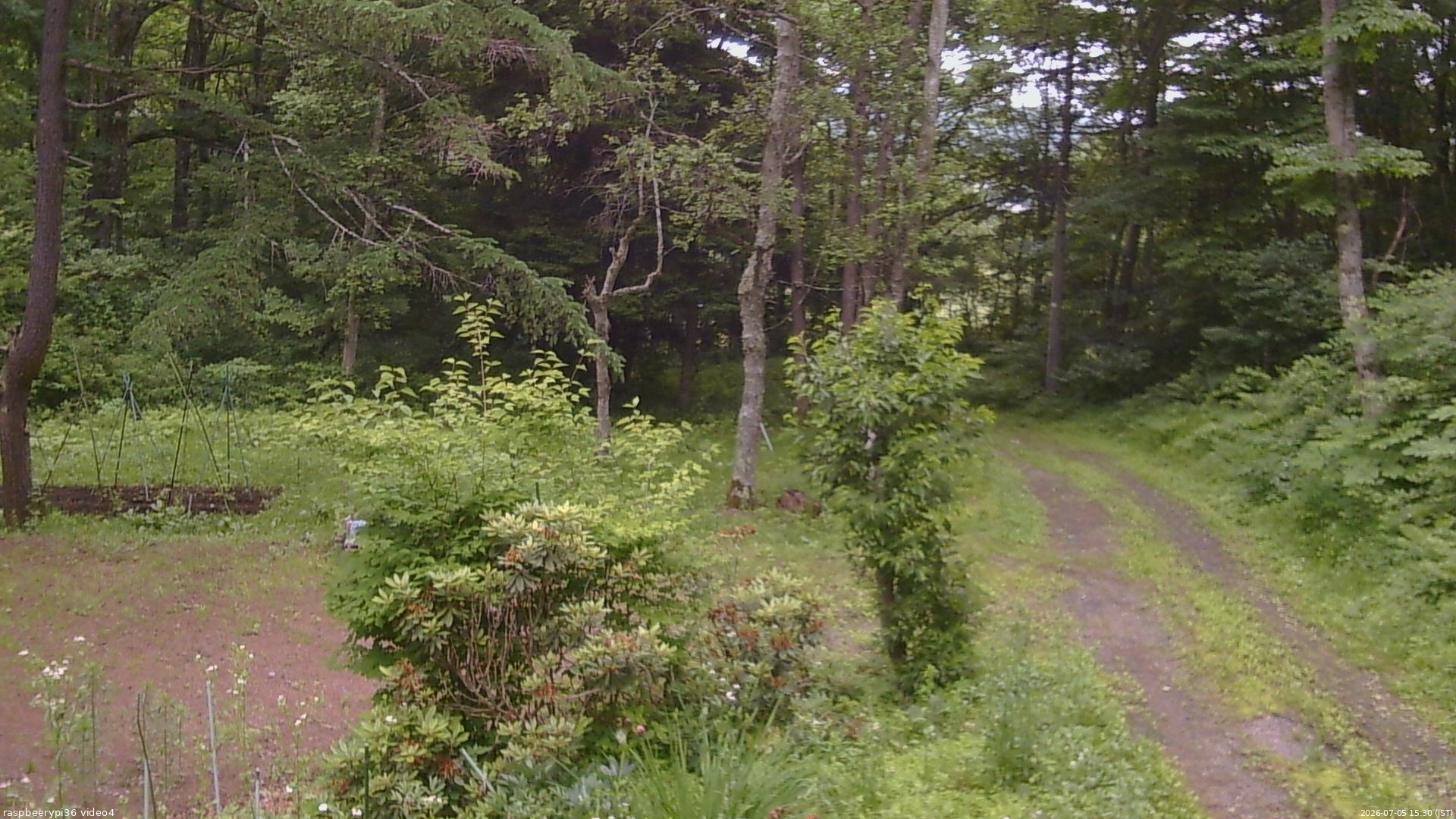 長野県菅平高原 ゆたか山荘 坂上 2026/07/05 15:30