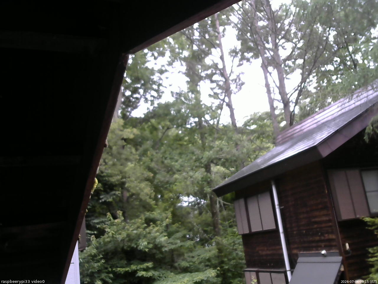 長野県菅平高原 ゆたか山荘 北側 2026/07/06 09:15