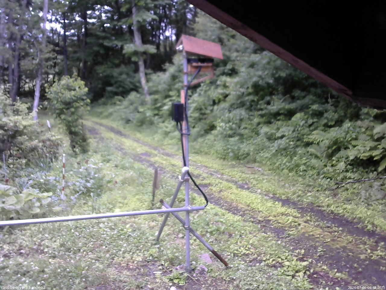 長野県菅平高原 ゆたか山荘 南側 2026/07/06 08:45