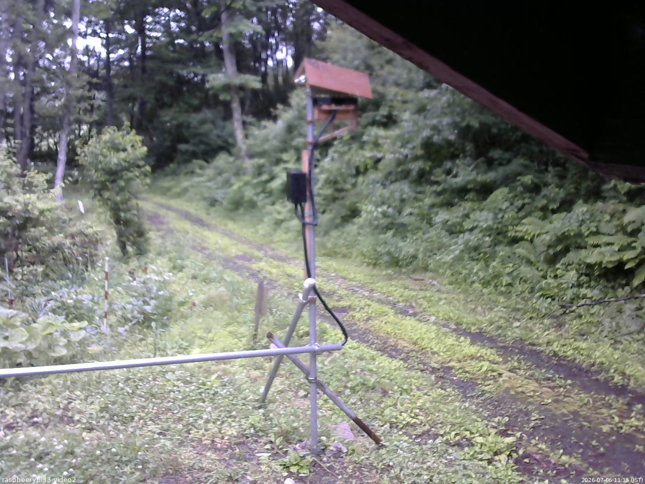 長野県菅平高原 ゆたか山荘 南側 2026/07/06 11:15