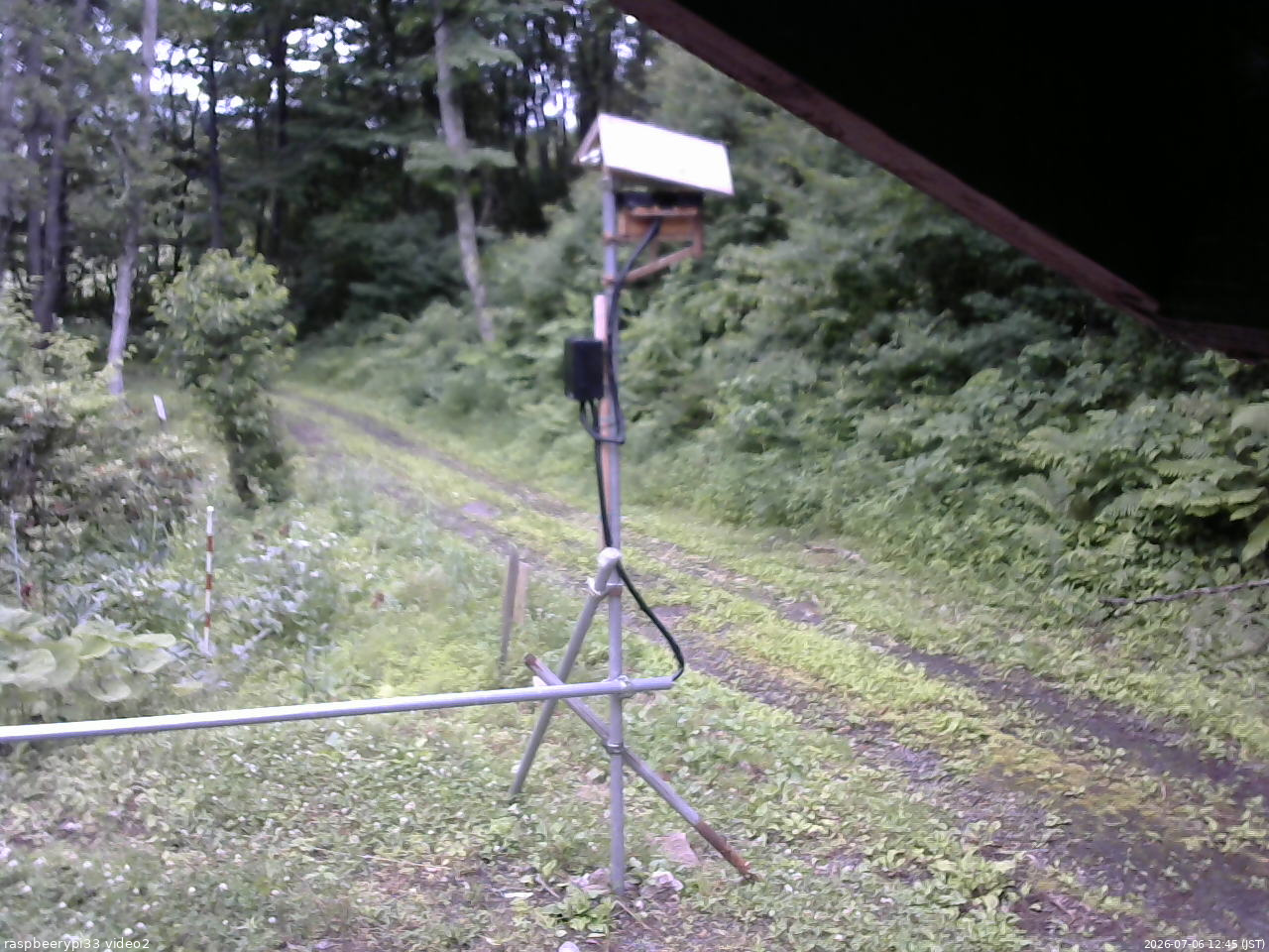 長野県菅平高原 ゆたか山荘 南側 2026/07/06 12:45