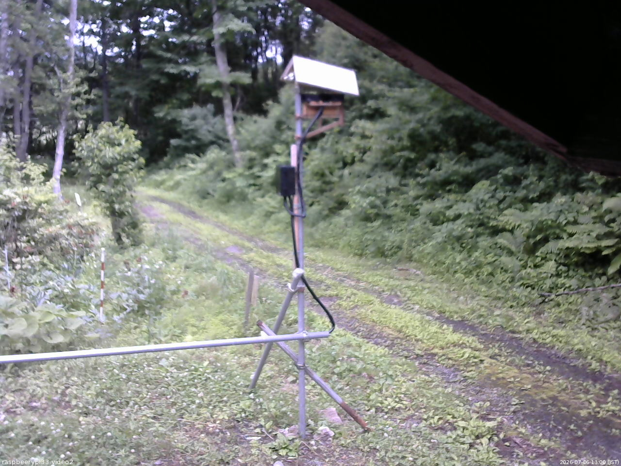 長野県菅平高原 ゆたか山荘 南側 2026/07/06 13:00