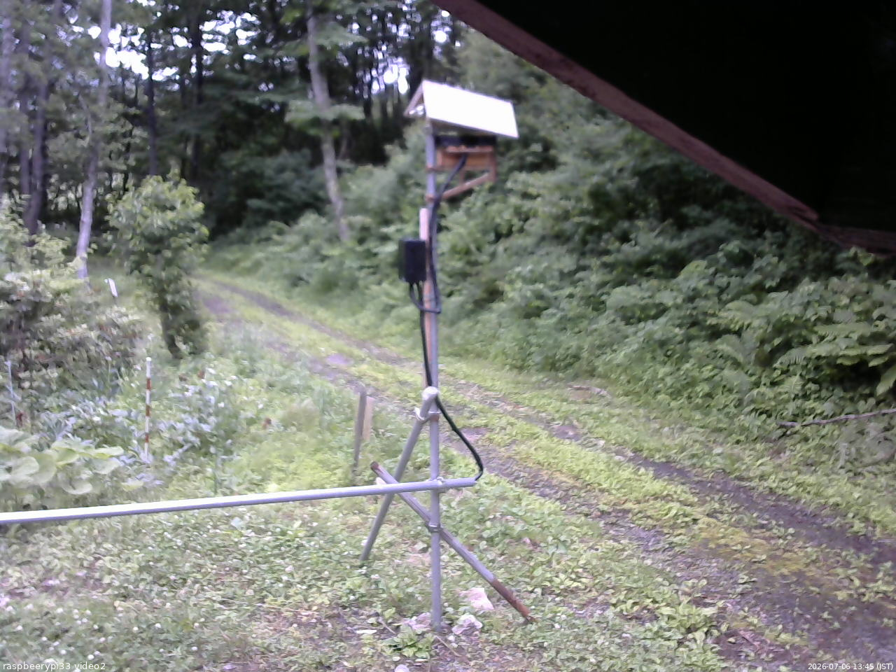 長野県菅平高原 ゆたか山荘 南側 2026/07/06 13:45