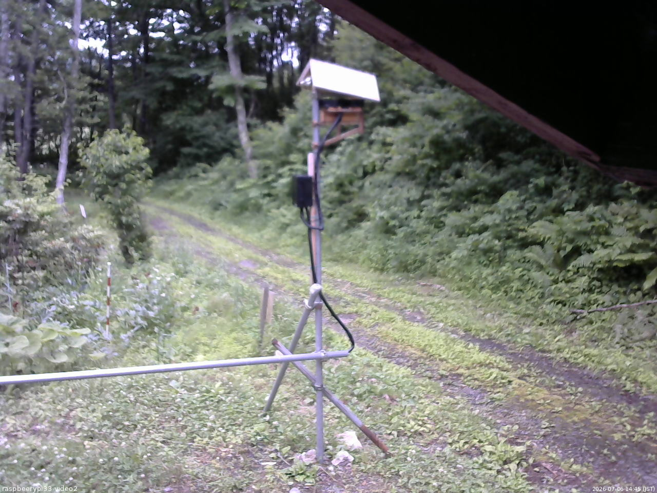 長野県菅平高原 ゆたか山荘 南側 2026/07/06 14:45