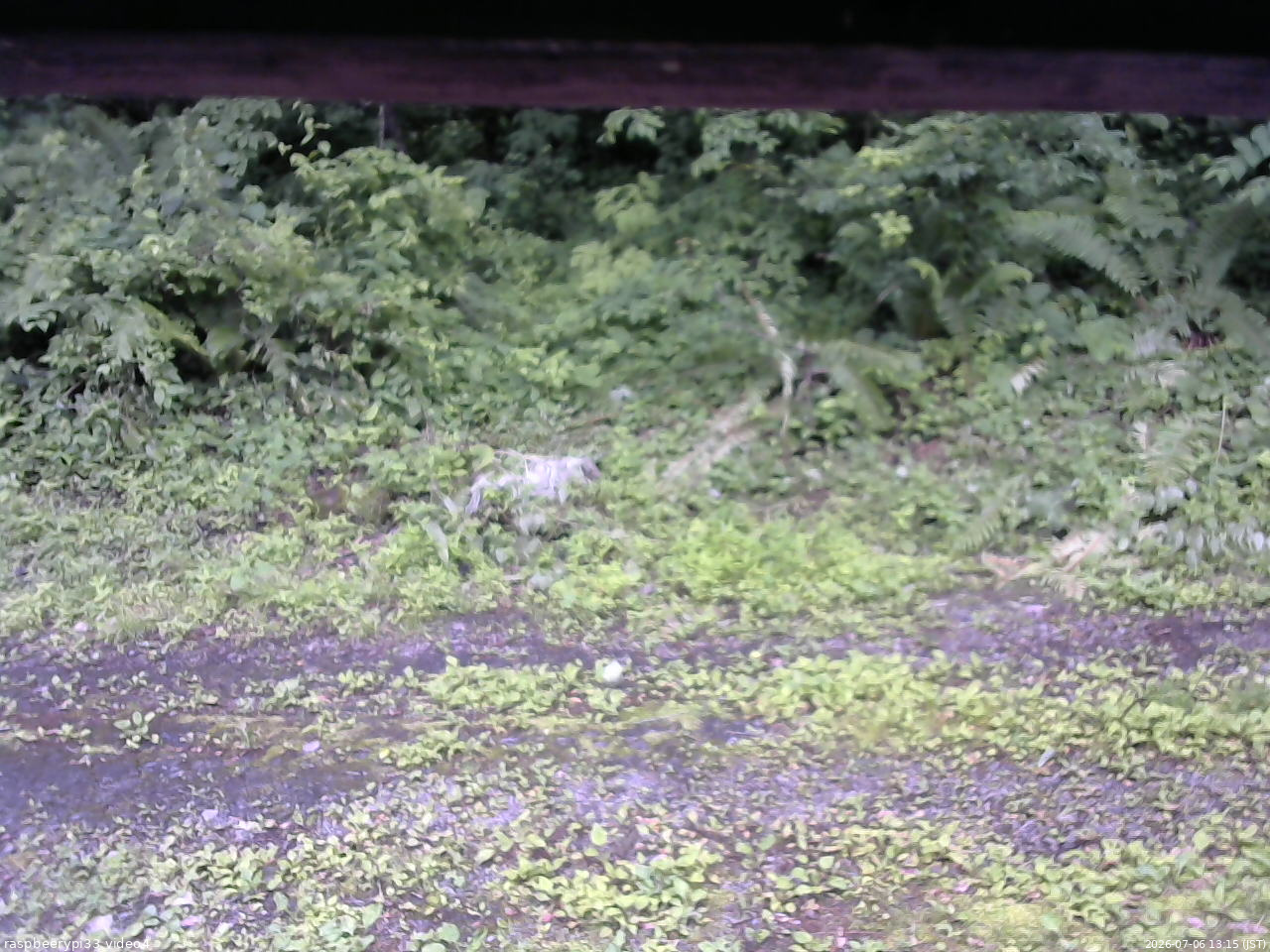 長野県菅平高原 ゆたか山荘 東側(坂下) 2026/07/06 13:15