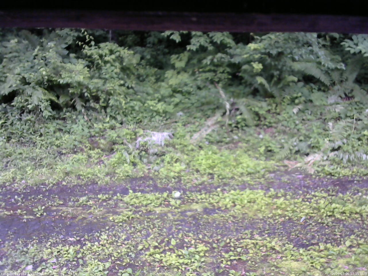 長野県菅平高原 ゆたか山荘 東側(坂下) 2026/07/06 17:15