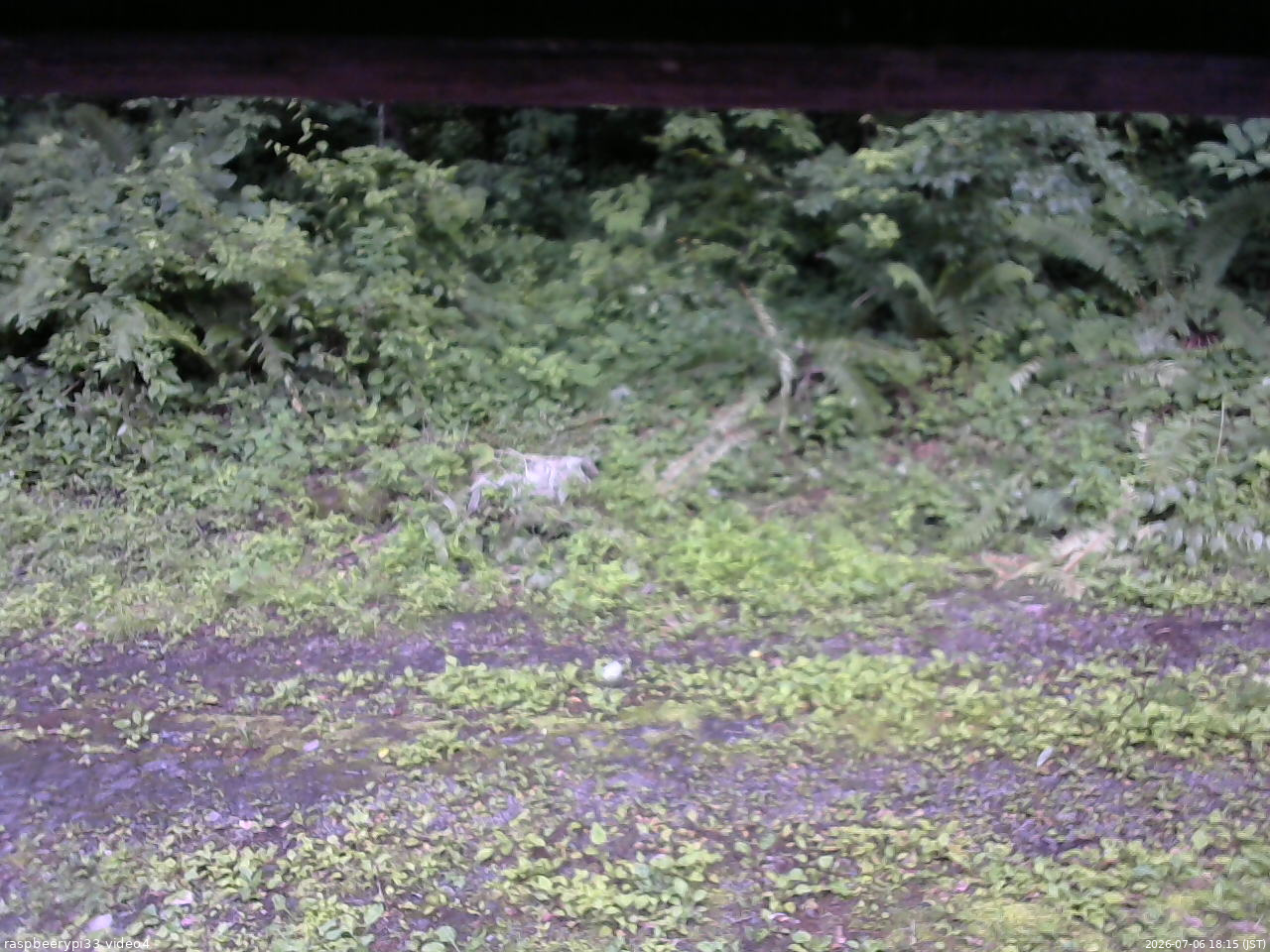長野県菅平高原 ゆたか山荘 東側(坂下) 2026/07/06 18:15