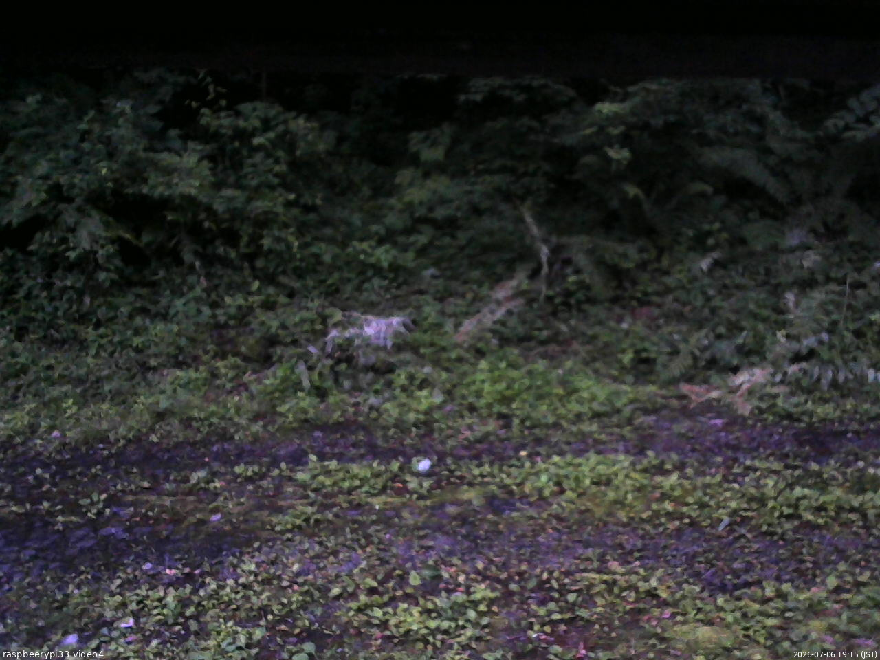 長野県菅平高原 ゆたか山荘 東側(坂下) 2026/07/06 19:15