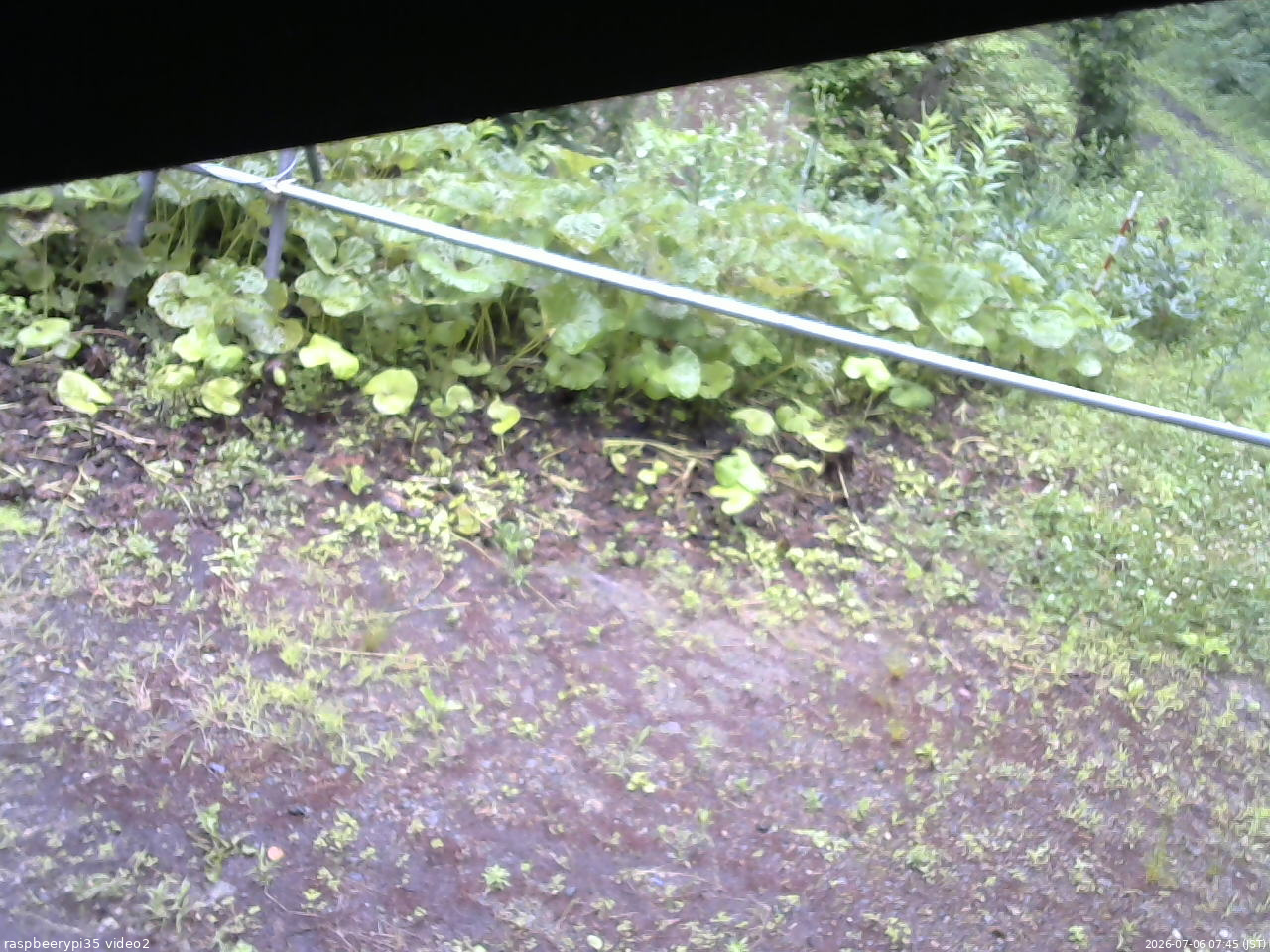 長野県菅平高原 ゆたか山荘 駐車場 2026/07/06 07:45