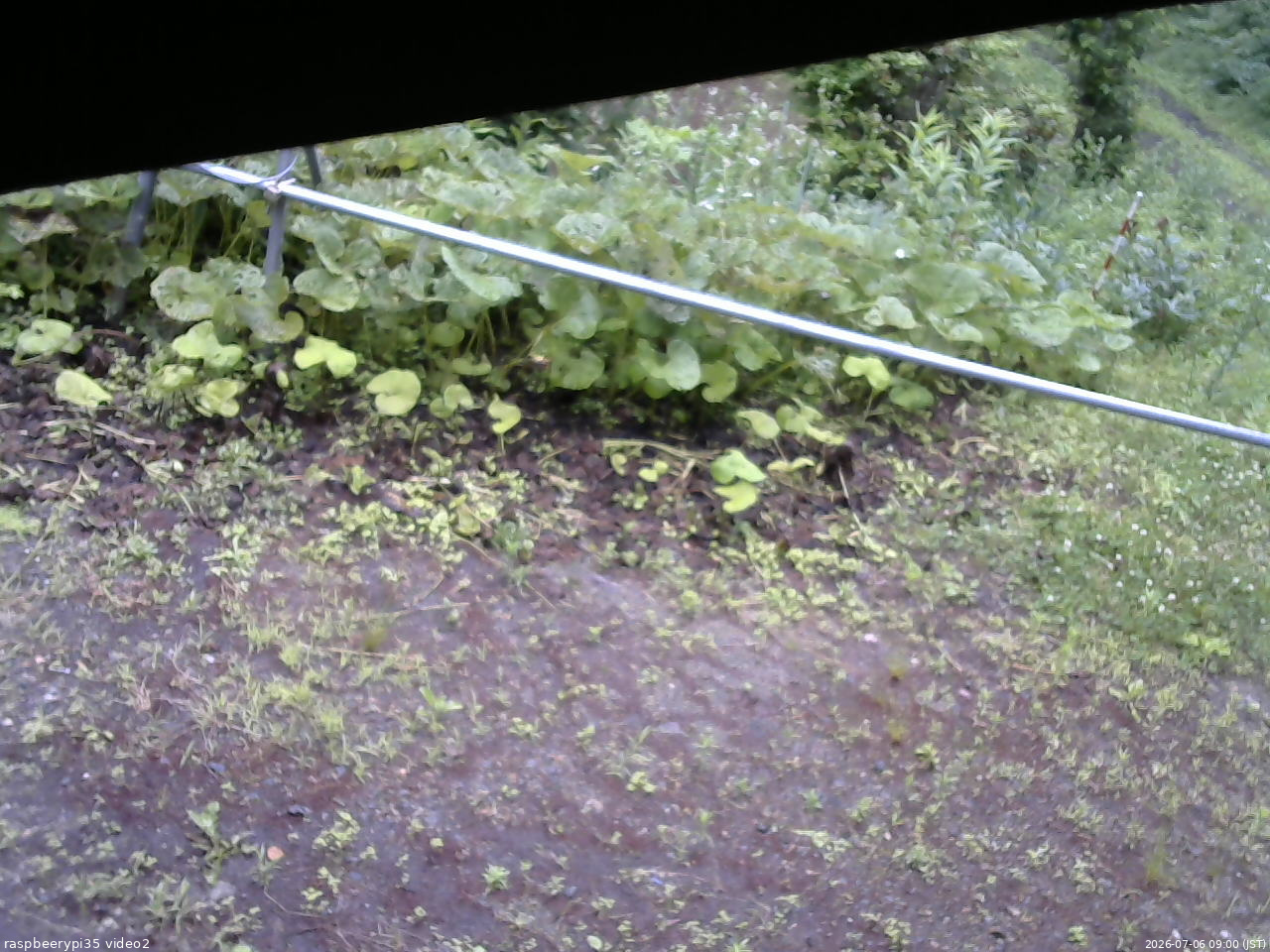 長野県菅平高原 ゆたか山荘 駐車場 2026/07/06 09:00
