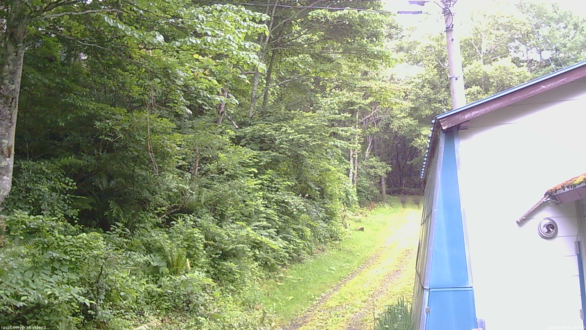 長野県菅平高原 ゆたか山荘 ゆたか山荘 2026/07/06 06:15