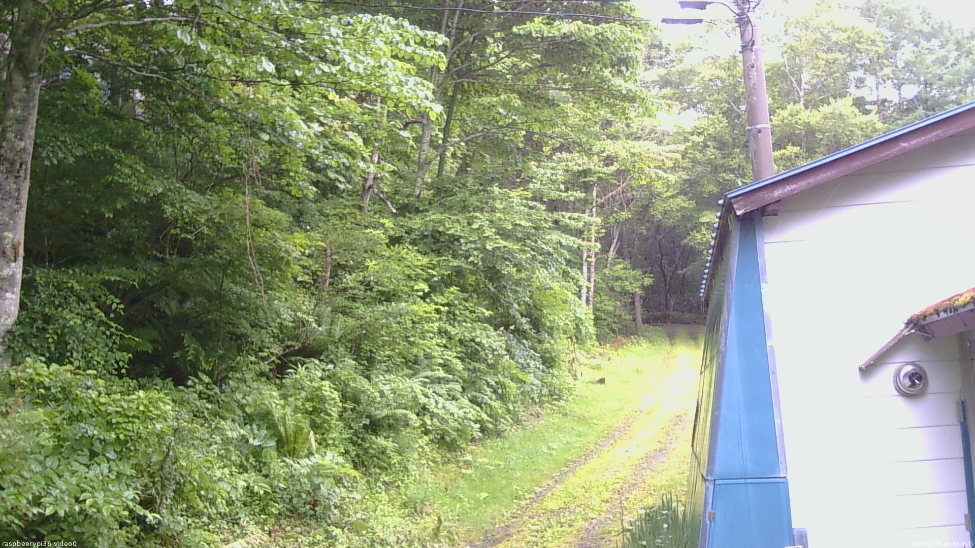 長野県菅平高原 ゆたか山荘 ゆたか山荘 2026/07/06 08:30