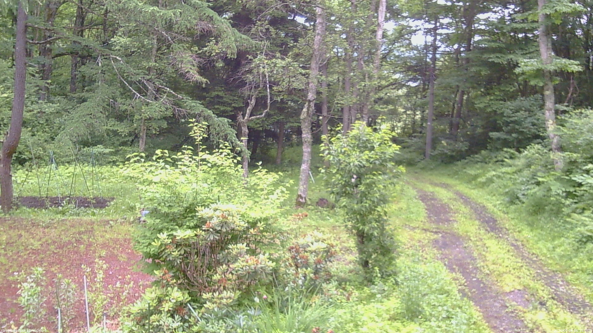 長野県菅平高原 ゆたか山荘 坂上 2026/07/06 06:15