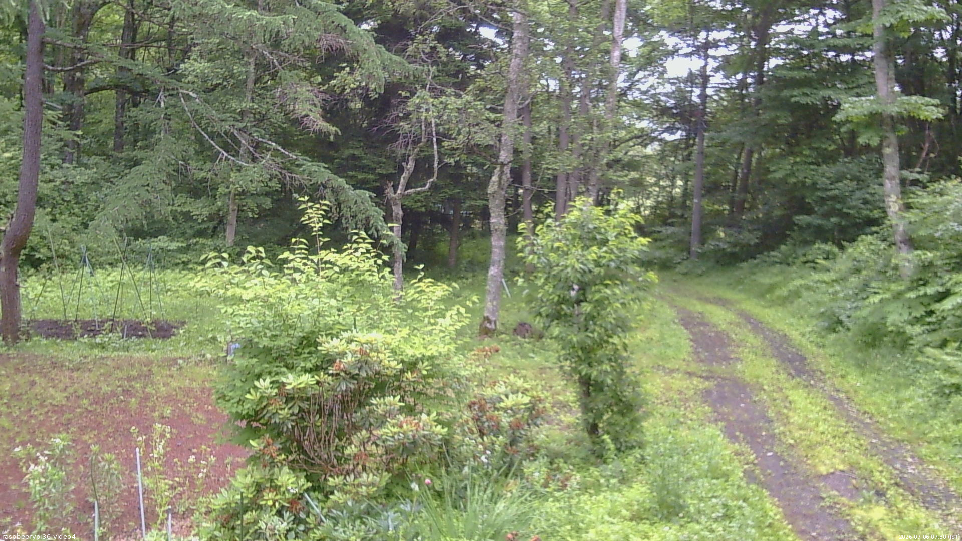 長野県菅平高原 ゆたか山荘 坂上 2026/07/06 07:30